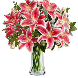 9 Pink Lilies