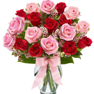 19 Pink and Red Roses