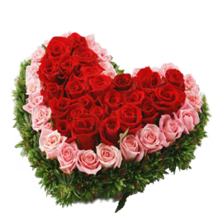 50 Red and Pink Roses Heart Shape
