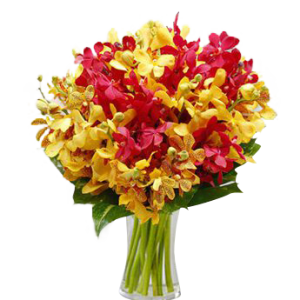 20 Stems Yellow and Red Mokkara Orchids