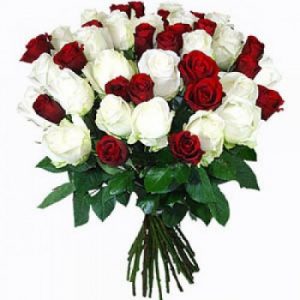 36 Red and White Roses