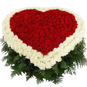 200 Red and White Roses Heart Shape