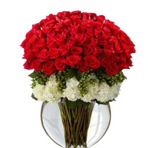 50 Red Roses with White Hydrangea