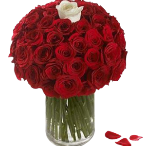 100 Red Roses with 1 White Rose