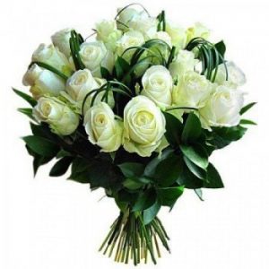 18 White Roses