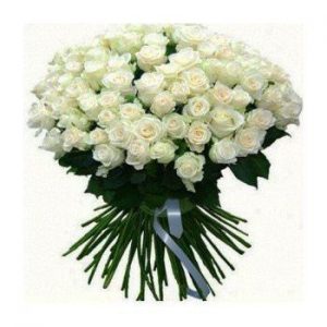 50 White Roses