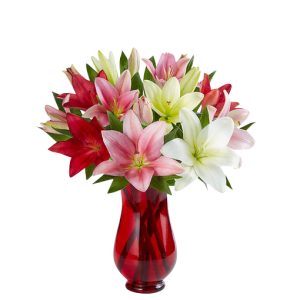 9 Pink, Red and White Lilies