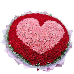 200 Red & Pink Roses in Heart Shape