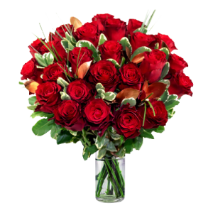 36 Red Roses