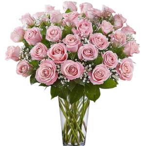 36 Pink Roses