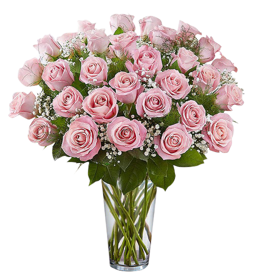 36 Pink Roses – Send Flowers Pattaya