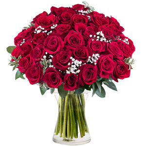 37 Red Roses