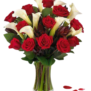 12 Red Roses and 9 Calla Lilies