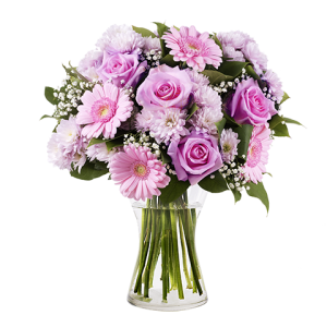 6 Pink Gerbera with 6 Pink Roses